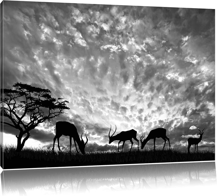 Pixxprint Tiere in der Natur als Leinwandbild/Grösse: 100x70 / Wandbild/Kunstdruck/fertig bespannt,