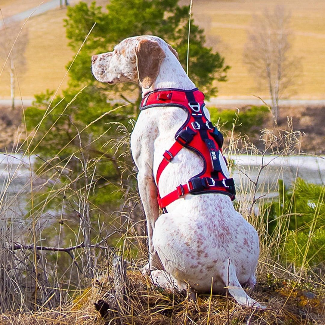 Trek I-Dog Comfort Hundegeschirr, Rot (S), S