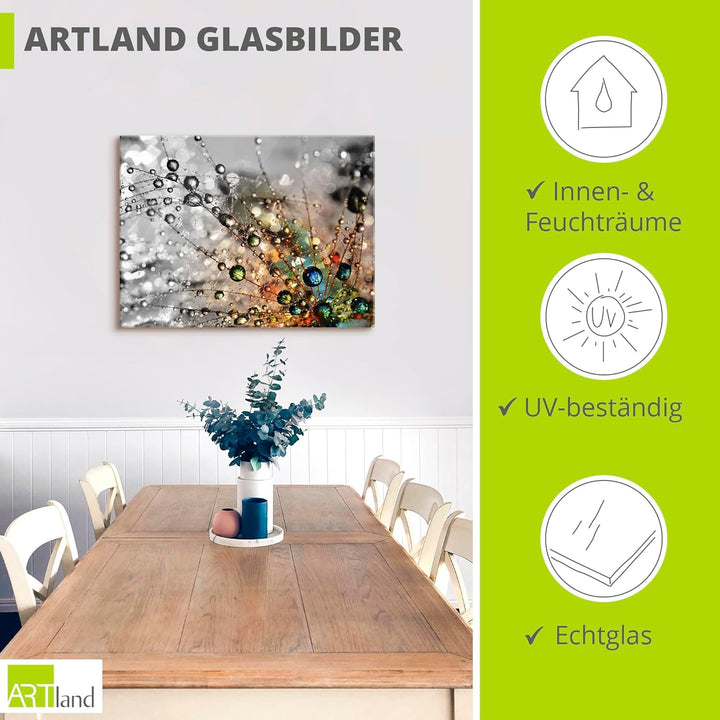 Glasbilder Wandbild Glas Bild einteilig 60x45 cm Querformat Natur Botanik Blumen Pusteblume Frühling