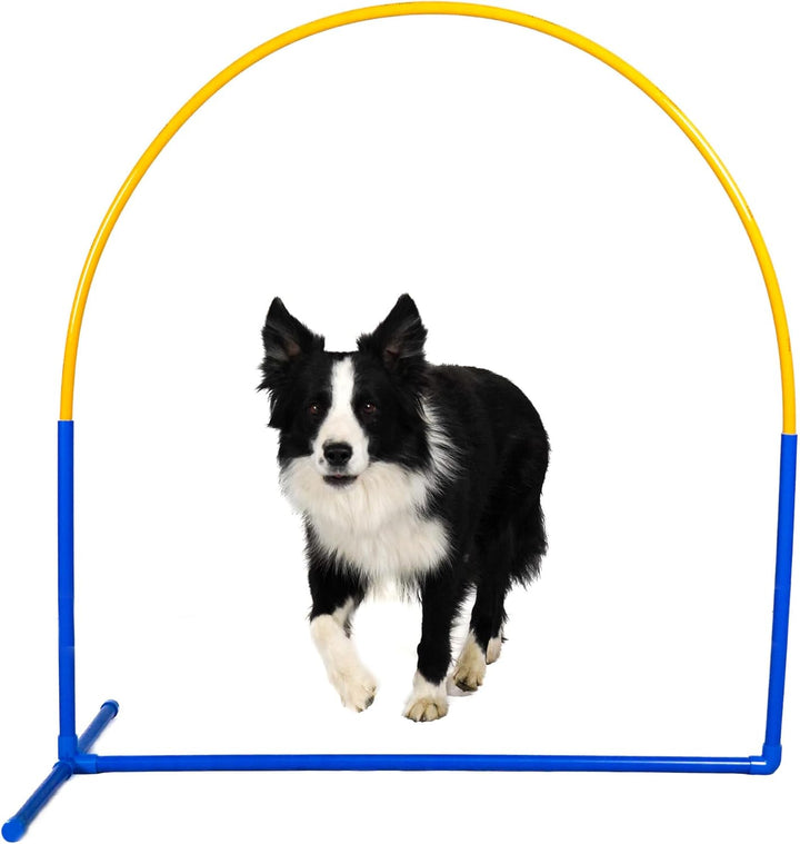 Callieway 6X NADAC Hoopers Agility Hoops - Grosspackung Fun Hoops - Blau - 6er Pack (Mit Mittelstreb