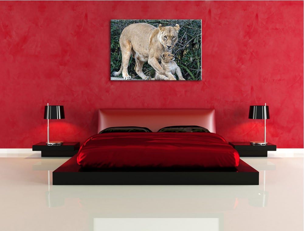 Pixxprint Löwin spielt mit Jungtier auf Leinwand, XXL riesige Bilder fertig gerahmt mit Keilrahmen,