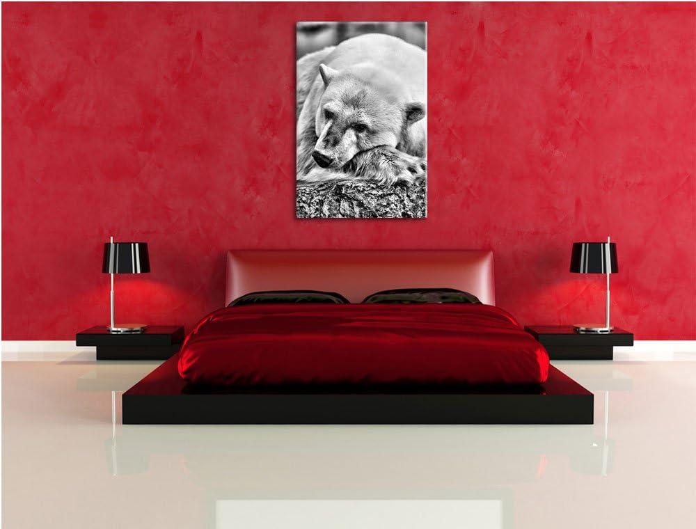 Pixxprint schlafender Eisbär / 100x70cm Leinwandbild bespannt auf Holzrahmen/Wandbild Kunstdruck Dek