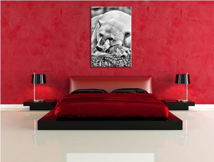 Pixxprint schlafender Eisbär / 100x70cm Leinwandbild bespannt auf Holzrahmen/Wandbild Kunstdruck Dek