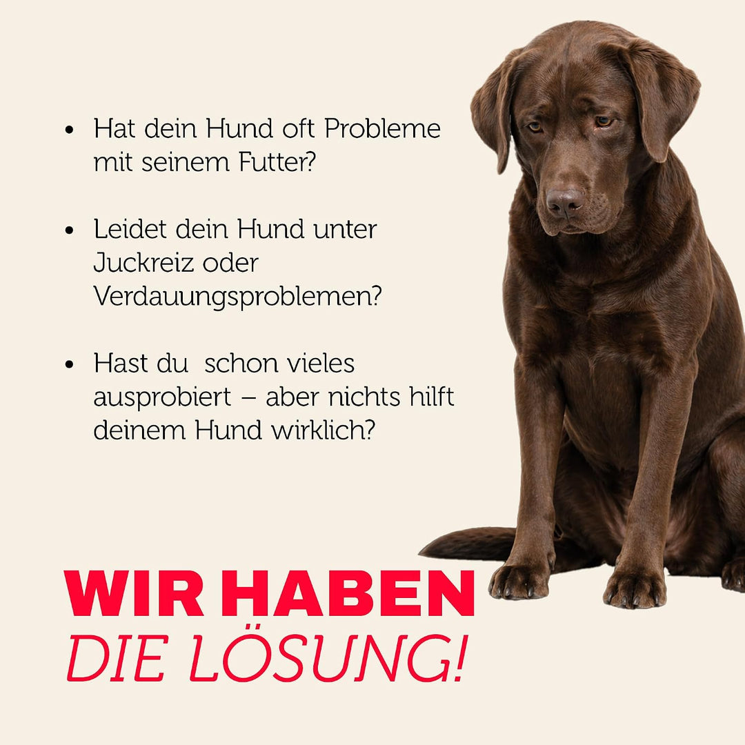 MERA Pure Sensitive Insect Protein Hundefutter, Trockenfutter mit Insekten-Protein für Sensible Hund