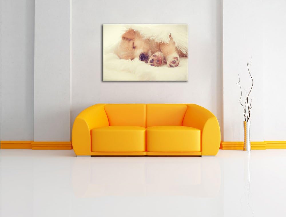 Pixxprint Kleiner schlafender Welpe als Leinwandbild/Grösse: 100x70 cm/Wandbild/Kunstdruck/fertig be