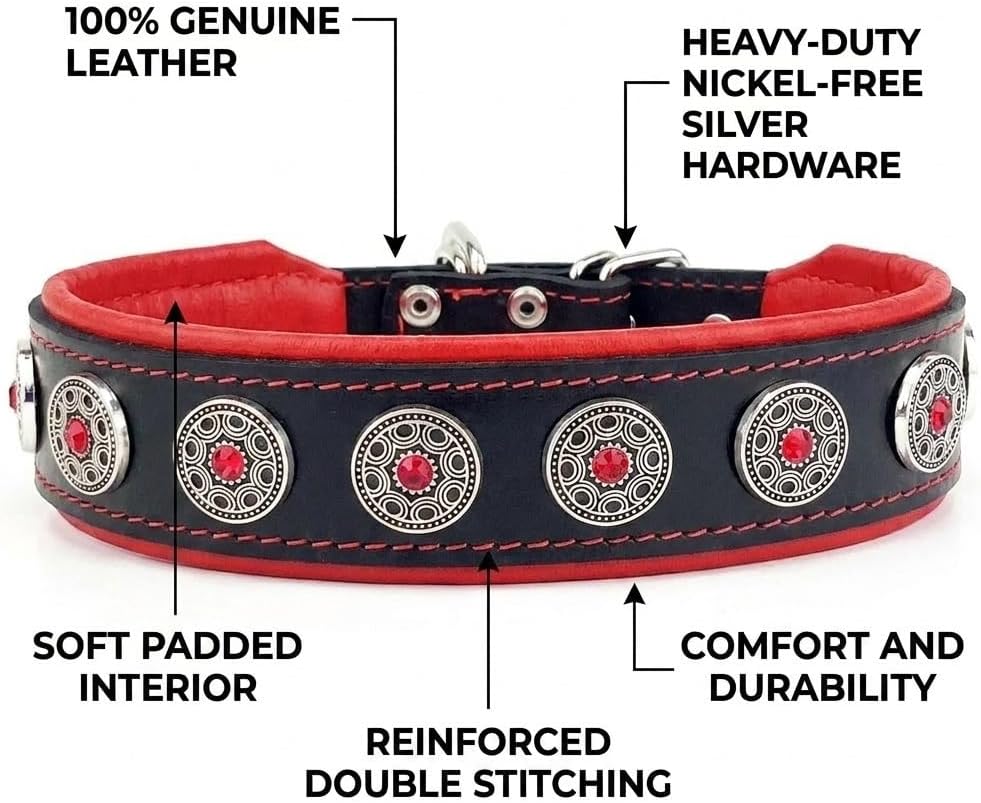 Bestia Bijou Hundehalsband mit Zierconchos. 100% Leder. Weich gepolstert. Handgefertigt in Europa! L