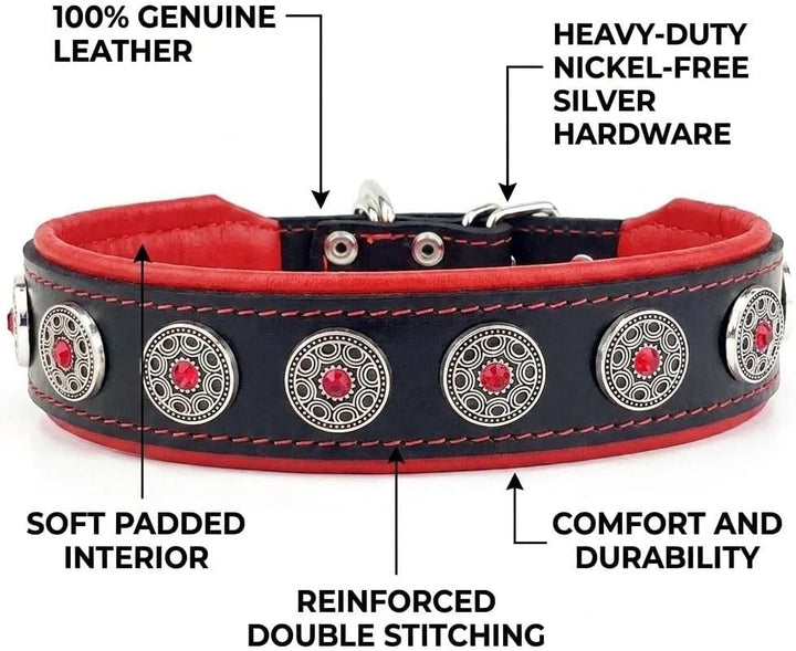 Bestia Bijou Hundehalsband mit Zierconchos. 100% Leder. Weich gepolstert. Handgefertigt in Europa! X
