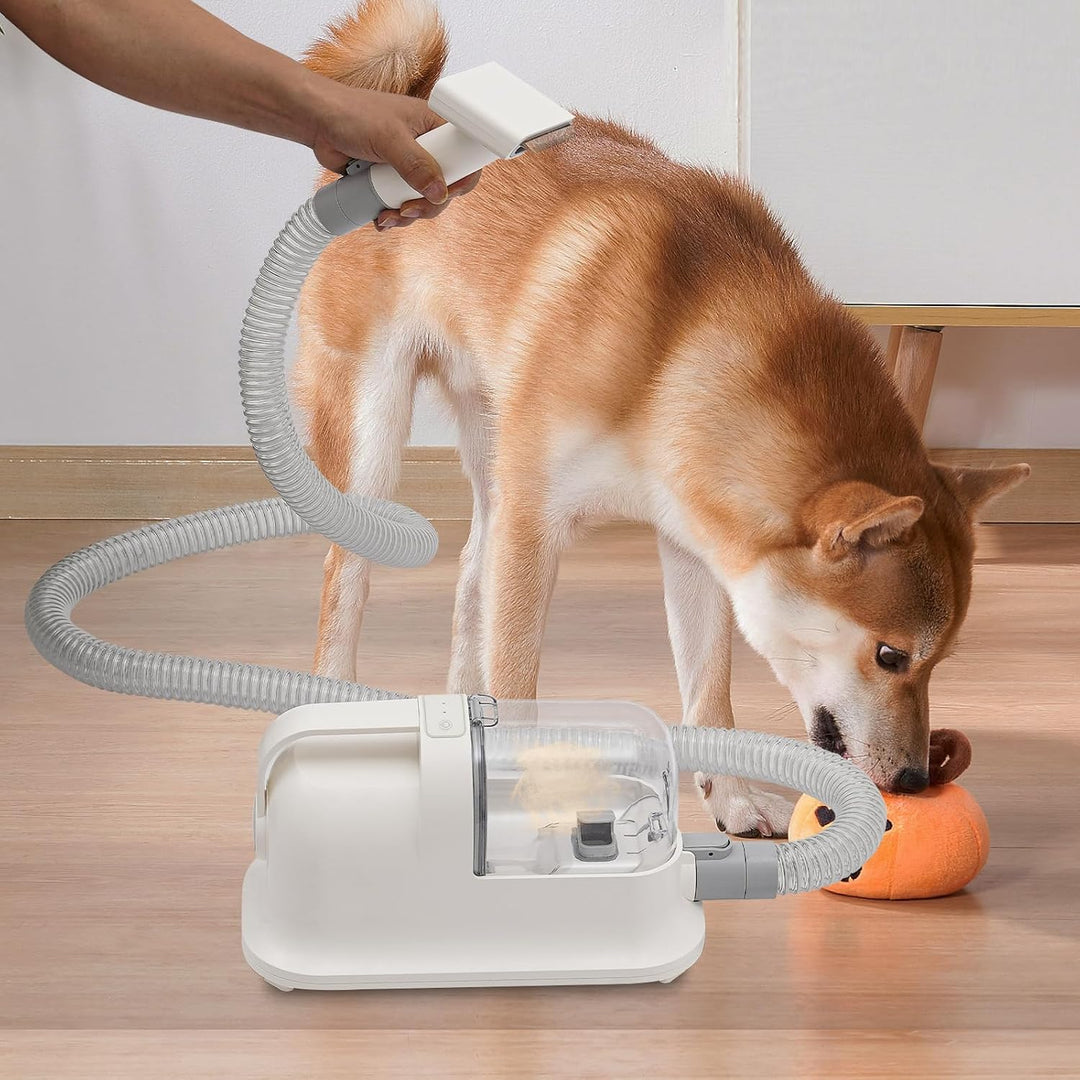 3-in-1-Pet Haarschneider – Rasieren | Kämmen & Saugen – 11800 Pa – Leise