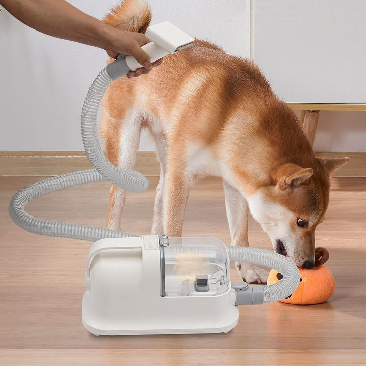 3-in-1-Pet Haarschneider – Rasieren | Kämmen & Saugen – 11800 Pa – Leise