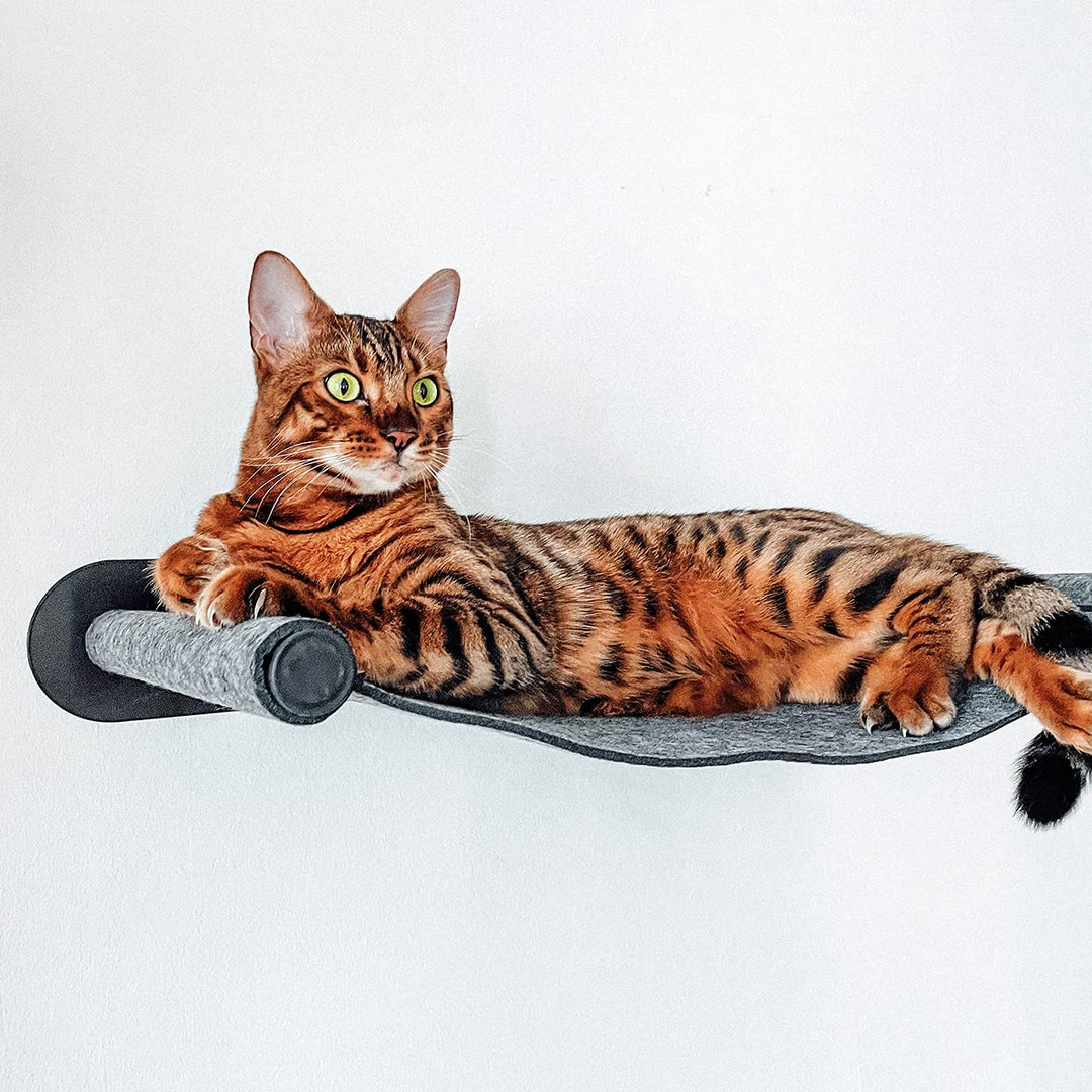 CanadianCat Company | Katzenhängematte aus Filz mit Wandmontage | ca. 65 x 35 x 10 cm | Anthrazit |