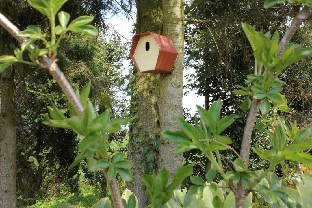 Capi Europe - Vogelhaus oval Hive - 19x23x20 - Anthrazit - CAPI Biodiversity Hive - AHBIA002 Anthraz