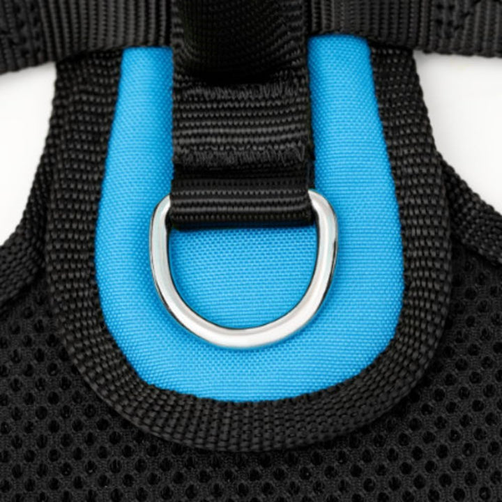 PetSafe EasySport Hundegeschirr, Komplett gepolstert mit elastischem Halsteil, Für Hunde von 29,5-36