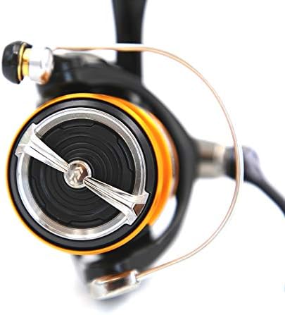 Daiwa 19 Ninja BG LT 2500 Rolle
