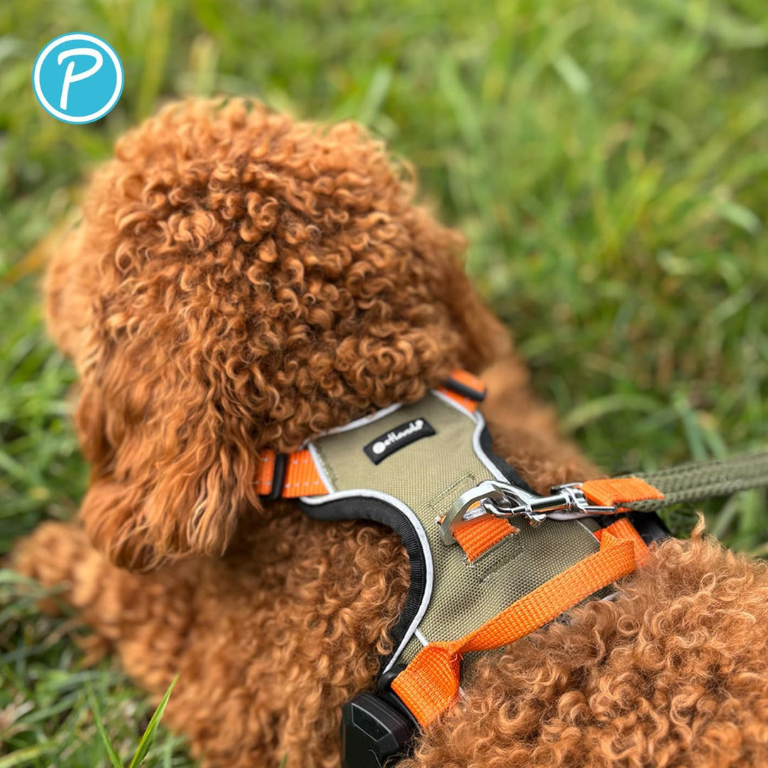 Petlando Hundegeschirr Magnetech– Innovative Magnetschnalle, mit Griff, Zwei D-Ringe, reflektierend,