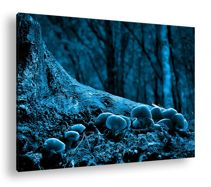 deyoli Pilze am Baumstamm Format 100x70 Effekt: Monocrome Blau als Leinwandbild, Motiv fertig gerahm