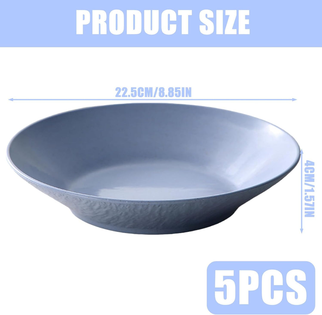 5 Stück Suppenteller Tief aus Kunststoff, 22,5x4cm Wiederverwendbar Plastikteller tief Pasta Teller,