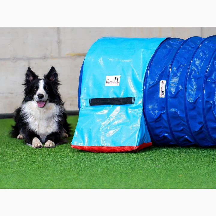 Callieway® Dog Agility Tunnel Turnier 60cmØ, 360° FullGrip (6m, blau/Blue) 6m blau/blue, 6m blau/blu