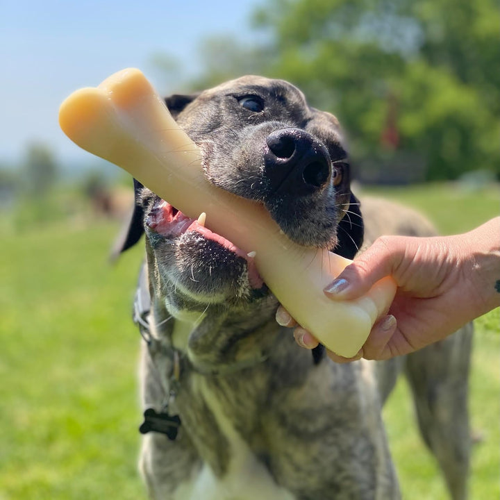Nylabone Extreme, Kau- und Zahnspielzeug für Hunde, Hundeknochen, für aggressiv / Starke kauende, Hä