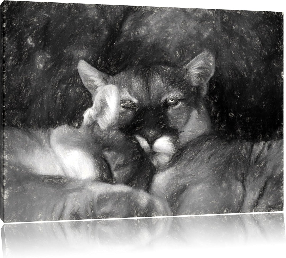Pixxprint verschlafenes Puma Paar Kunst als Leinwandbild/Grösse: 100x70 / Wandbild/Kunstdruck/fertig