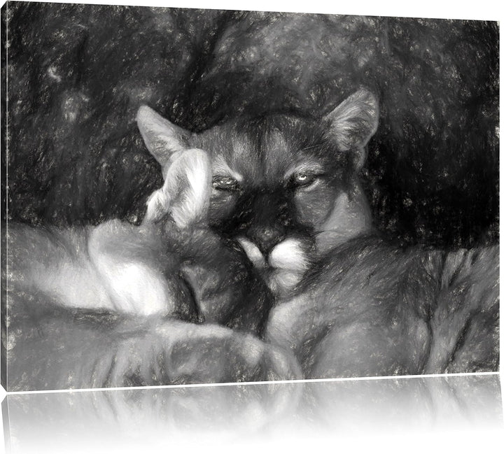 Pixxprint verschlafenes Puma Paar Kunst als Leinwandbild/Grösse: 100x70 / Wandbild/Kunstdruck/fertig