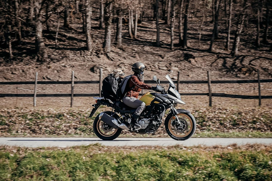 DEEMEED PETBAG Motorradtasche für Hunde und Katzen (11-15 kg), wasserdicht, tragbar, dreifach belüft