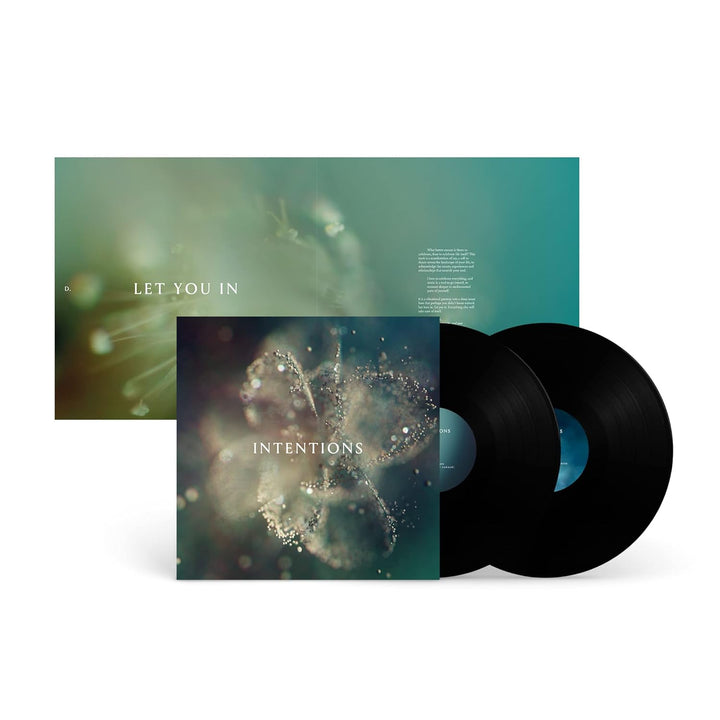 Intentions, Vinyl