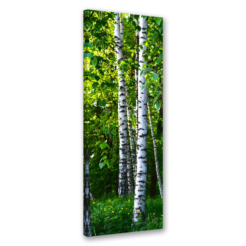 Febby Vlies Leinwandbild XXL Birke Gras Blätter 50x150 cm Wandbild Kunst Bilder Schlafzimmer Deko Wo