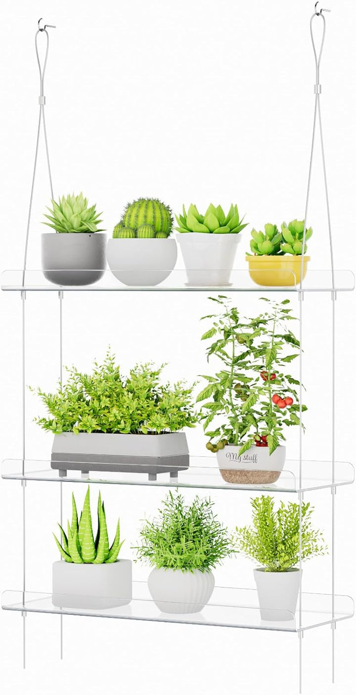 Lifewit Wandregal Blumentopf, 3 Stufen Transparent Vertiefung Kunststoff Pflanzenregal Schwimmende f