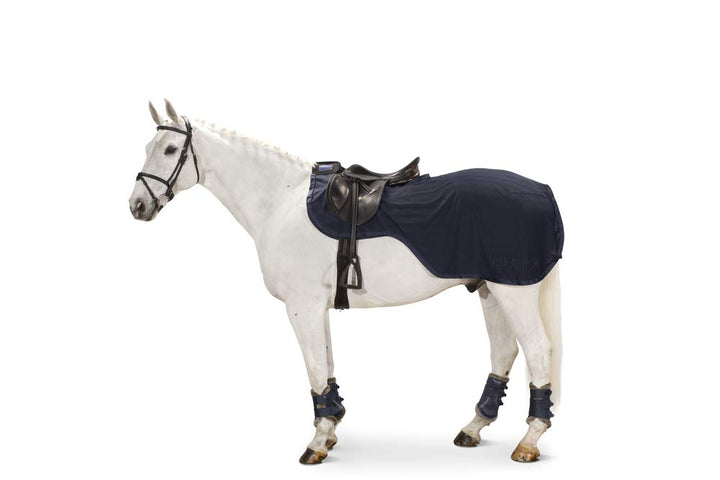 Eskadron Fliegenausreitdecke Cooler Exercise Classic Sports Frühjahr 21 balsamgreen XL, balsamgreen