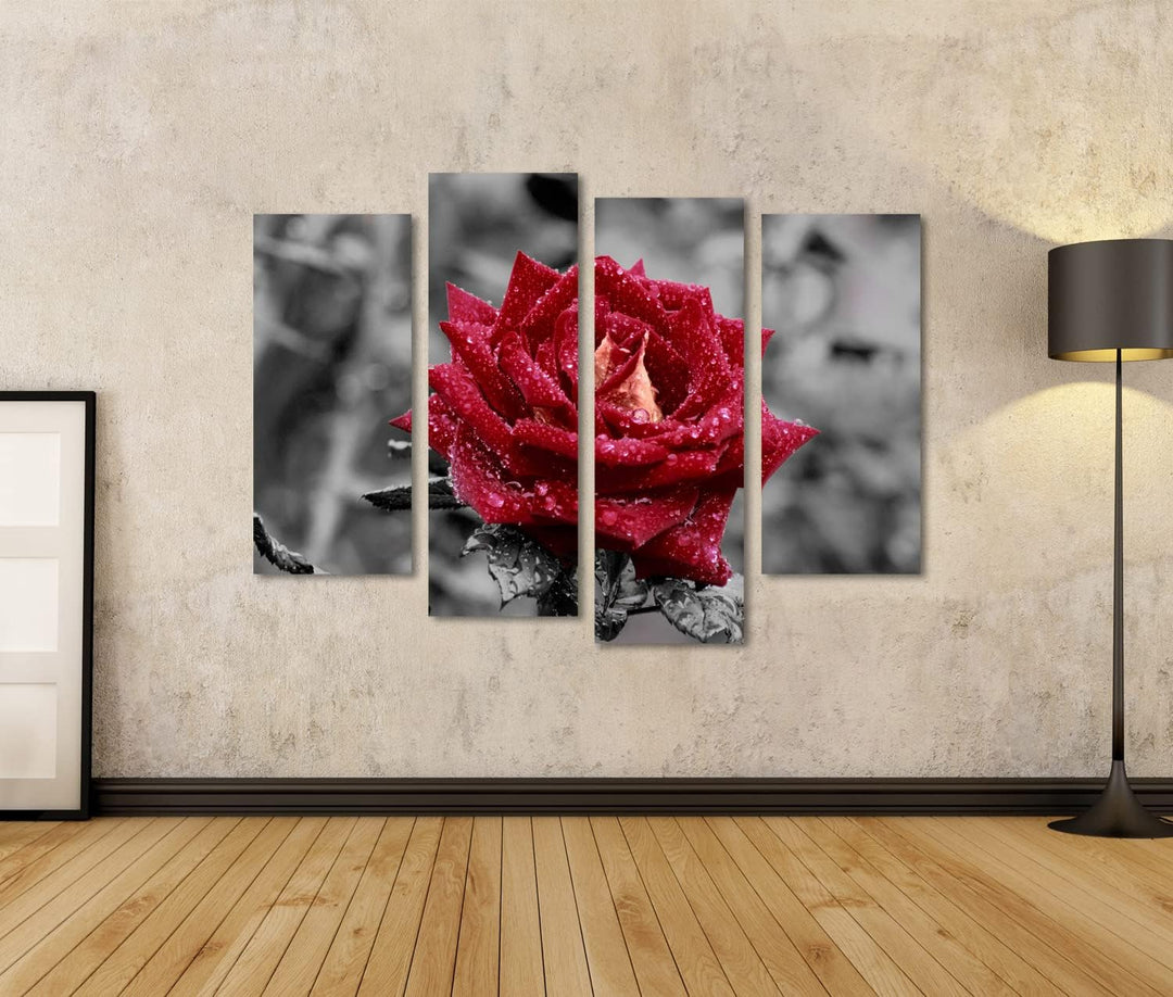 islandburner Bild auf Leinwand Rote Rose Auf Grauem Hintergrund Farbwirkung Wandbild Poster Kunstdru