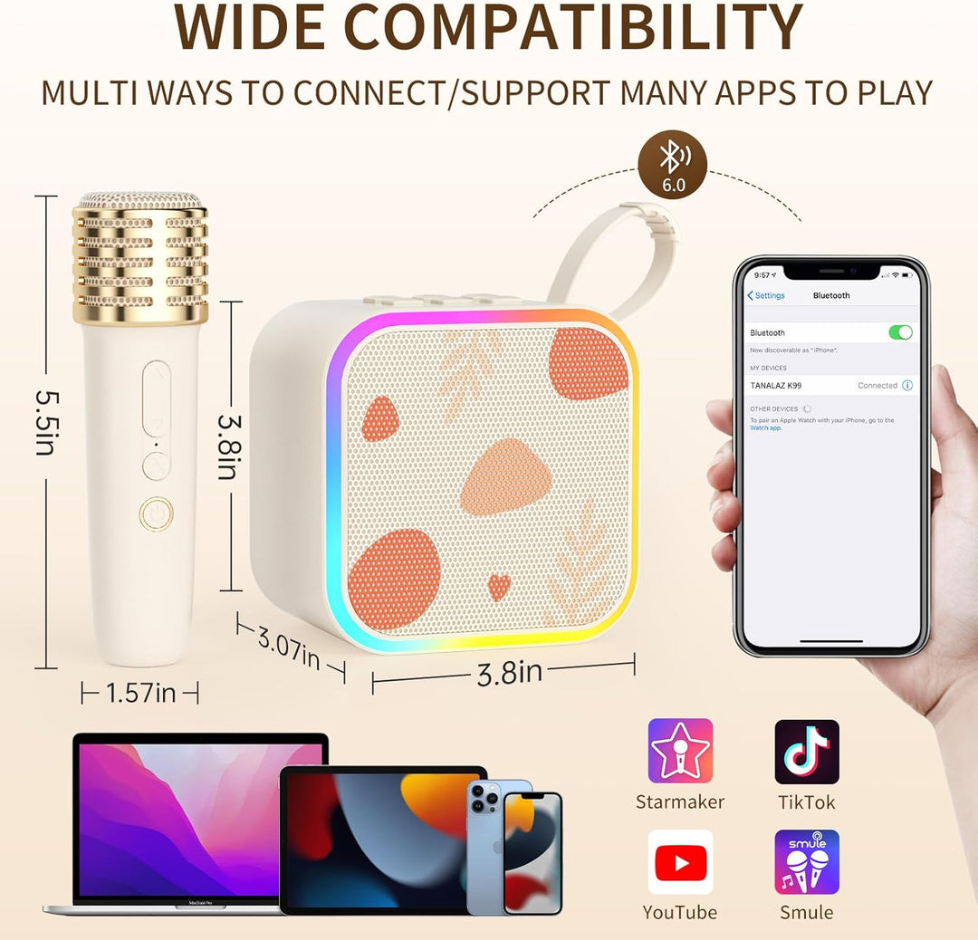 Mini Karaoke-Maschine 2 kabellose Mikrofone, tragbare Bluetooth Karaoke-Lautsprecher mit Tragegriff