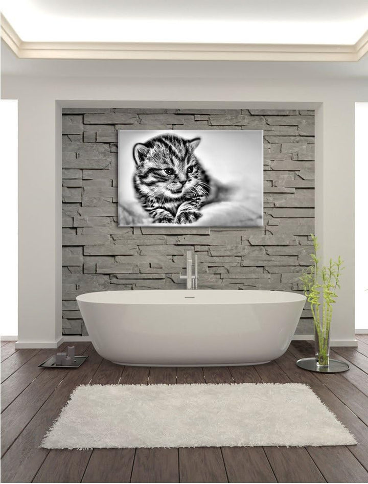 Pixxprint Monocrome, Kleines Kätzchen auf weisser Decke, Format: 100x70 auf Leinwand, XXL riesige Bi