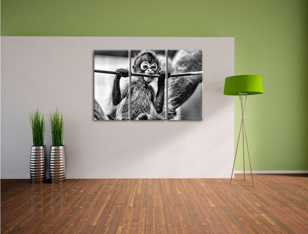 Pixxprint Orang-Utan-Junges isst als Leinwandbild/Grösse: 3 Teilig (120x80) cm/Wandbild/Kunstdruck/f