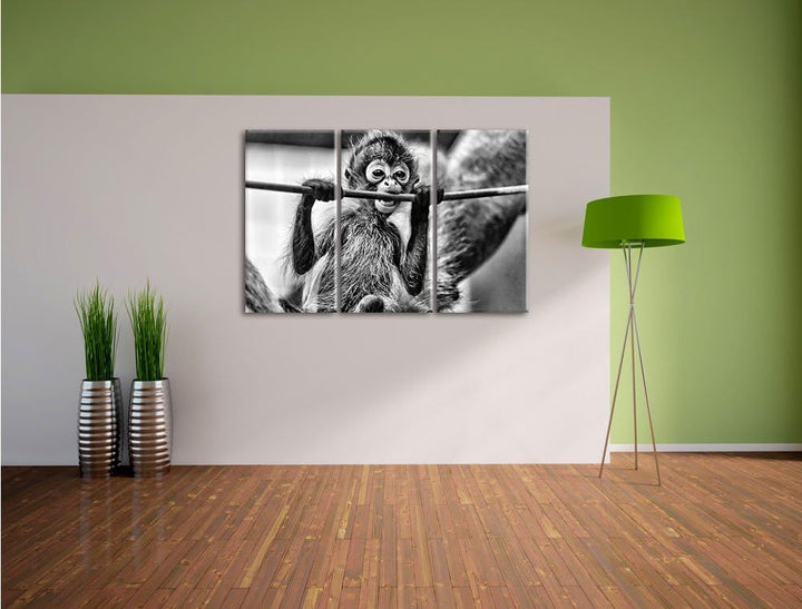 Pixxprint Orang-Utan-Junges isst als Leinwandbild/Grösse: 3 Teilig (120x80) cm/Wandbild/Kunstdruck/f