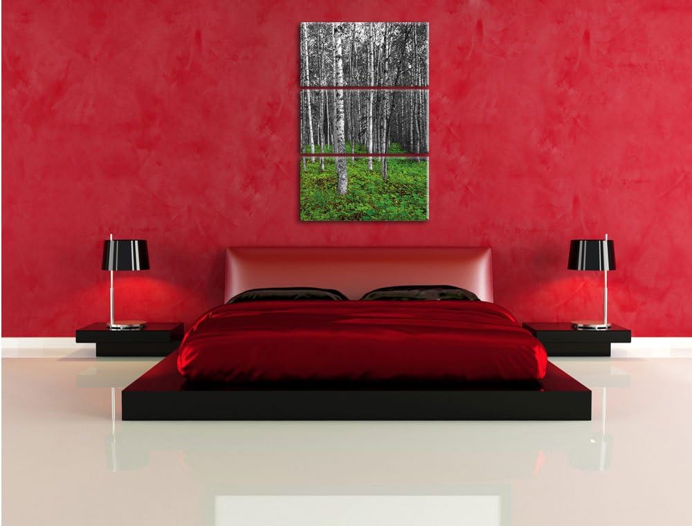 Pixxprint Kleiner ansehnlicher Birkenwald als Leinwandbild/Grösse: 3 Teilig (120x80) cm/Wandbild/Kun