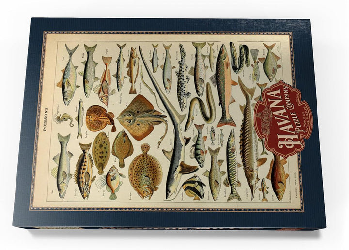 Fisch für alle, Vintage Art Poster, Adolphe Millot - Premium 1000 Teile Puzzle - MyPuzzle Sonderkoll