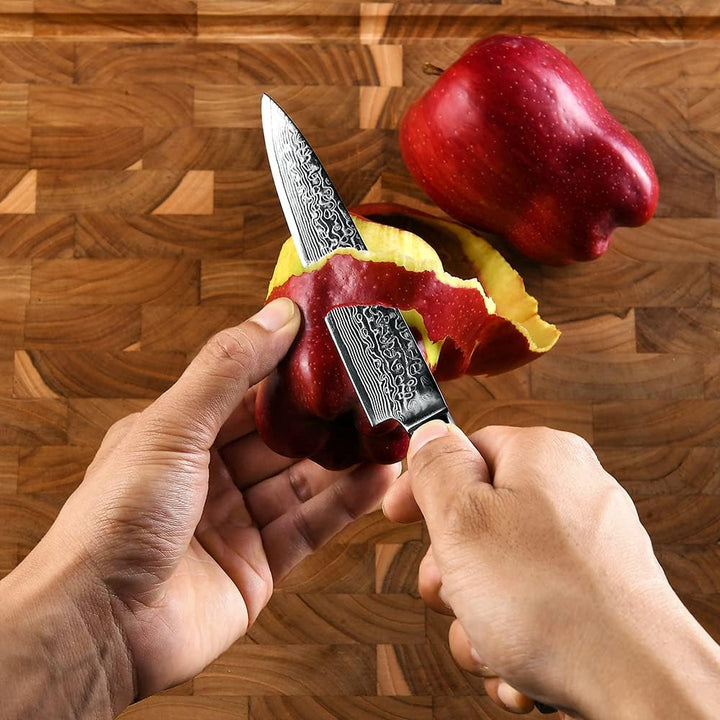 FANTECK 16cm Küchenmesser Damastmesser, Obstmesser Scharf Kochmesser Profi Chef Messer 67-Schicht VG