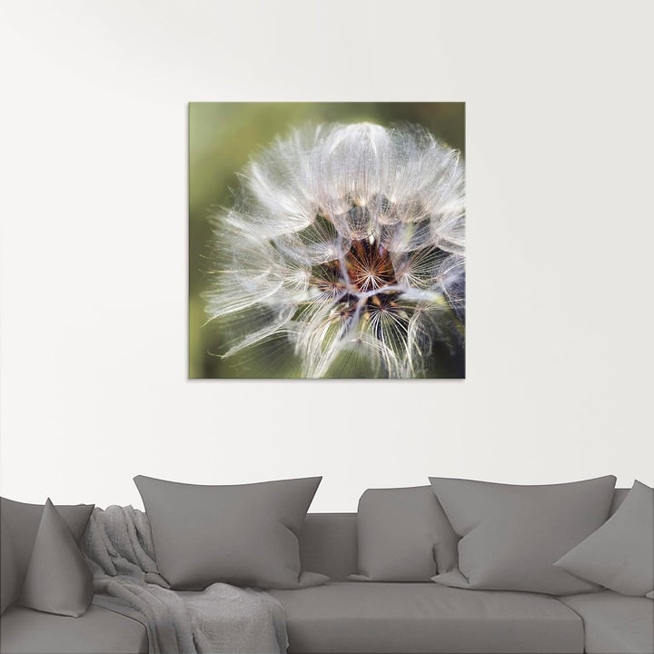 ARTland Glasbilder Wandbild Glas Bild einteilig 50 x 50 cm Pflanzen Mikro Makro Blumen Pusteblume Lö