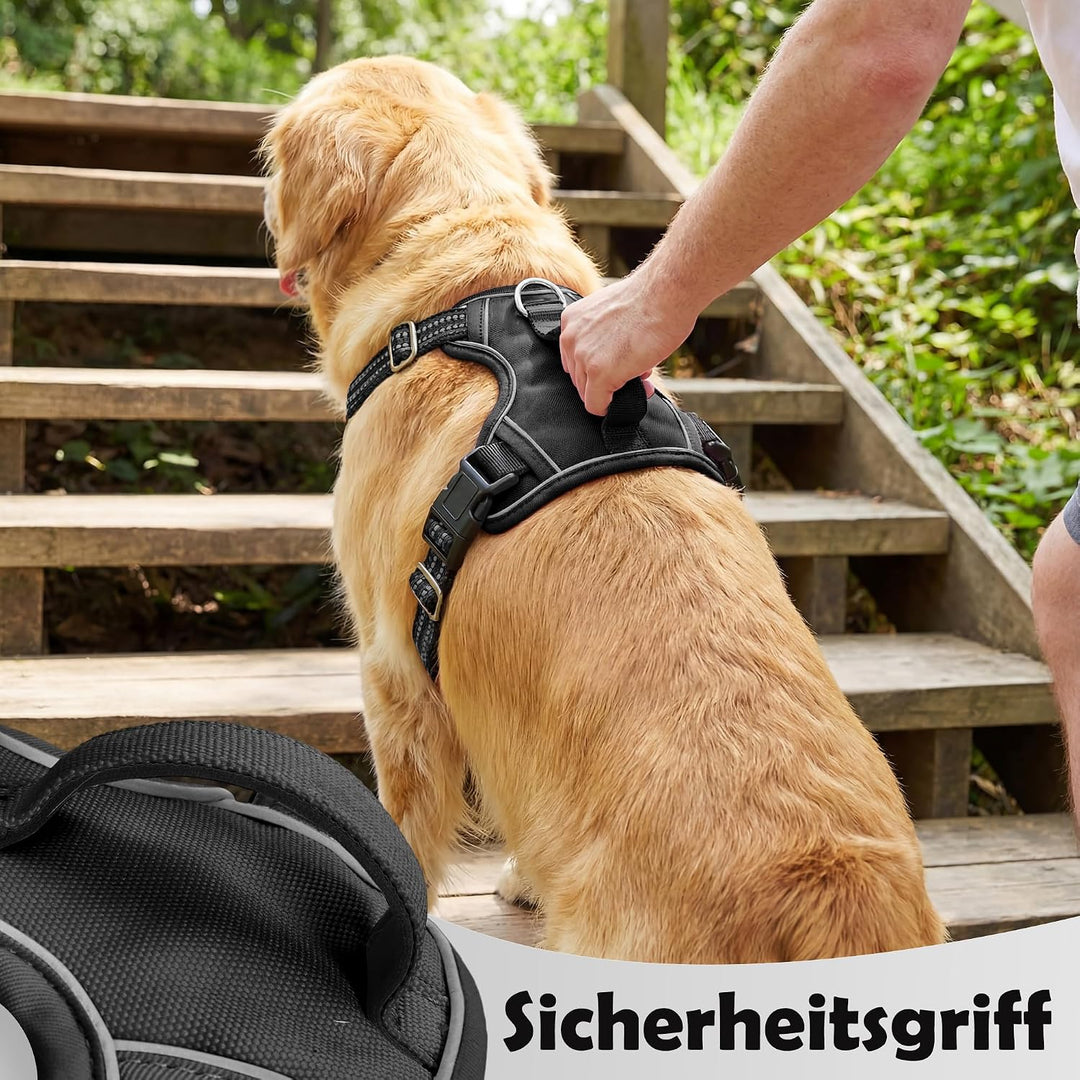 Funfox Hundegeschirr Mittelgrosse Hunde [M] - Verstellbares Anti-Zug Brustgeschirr mit Griff &amp; Refle