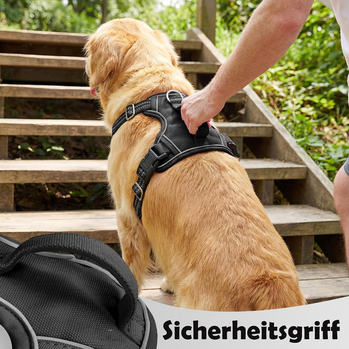Funfox Hundegeschirr Mittelgrosse Hunde [M] - Verstellbares Anti-Zug Brustgeschirr mit Griff &amp; Refle