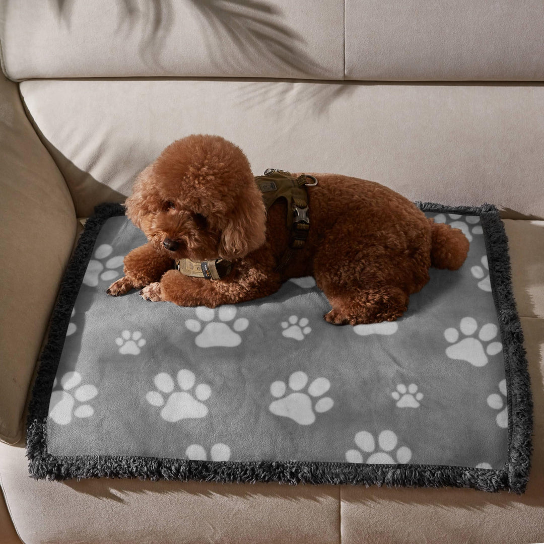 Wasserdicht Hundedecke Katzendecken Waschbar, wasserdichte Decke für Unterwegs Hundesofa Schutzdecke