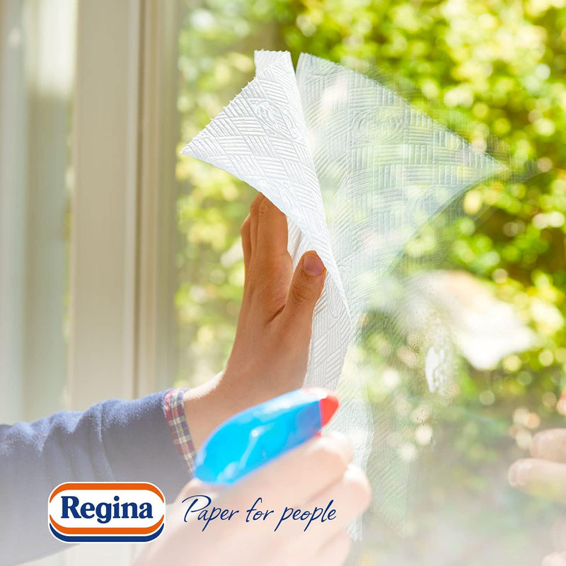 Regina Blitz Casa Papier, 5 Rollen 500 Maxi 3-lagige Blätter, recycelbares Papier, blitzschnell saub