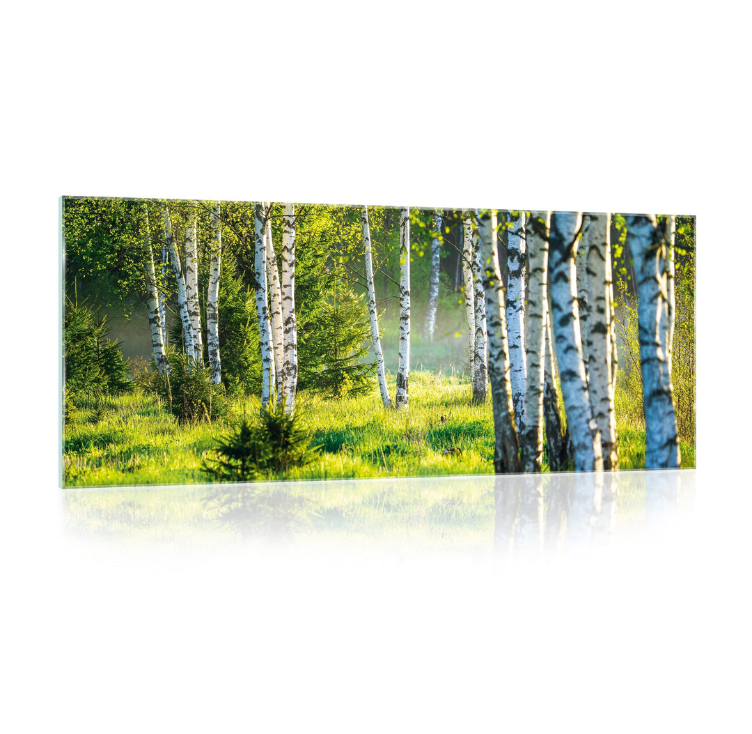 Glasbild Wald Natur Landschaft Birkenwald 125x50 cm Modern Glasbilder Wohnzimmer Schlafzimmer Badezi