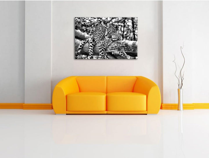 Pixxprint Leopard auf AST als Leinwandbild/Grösse: 100x70 cm/Wandbild/Kunstdruck/fertig bespannt, 10