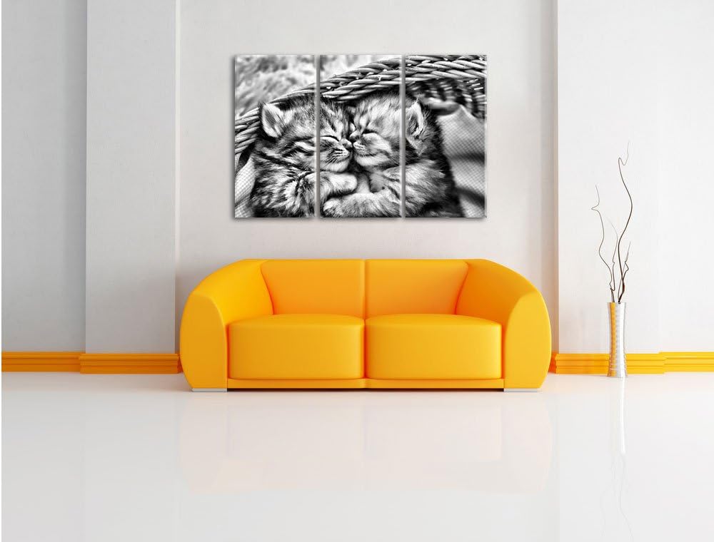 Pixxprint Baby Katze als Leinwandbild/Grösse: 3 Teilig (120x80) cm/Wandbild/Kunstdruck/fertig bespan