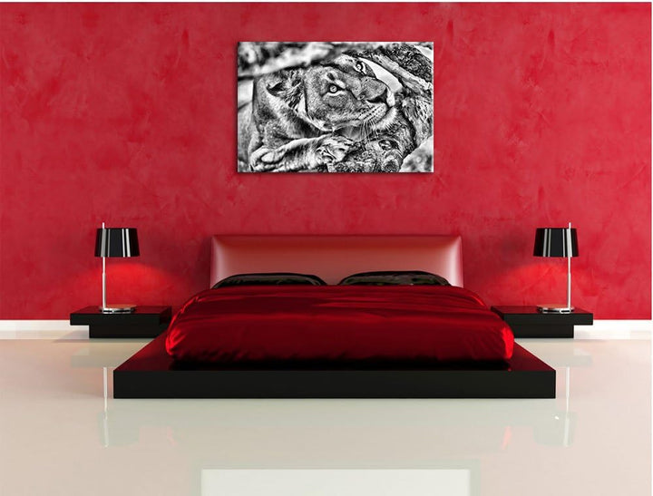Pixxprint anpirschende Löwin als Leinwandbild/Grösse: 100x70 cm/Wandbild/Kunstdruck/fertig bespannt,