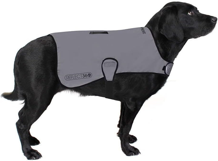 Proviz Sports 100% Reflective High-Vis Waterproof Dog Coat, S