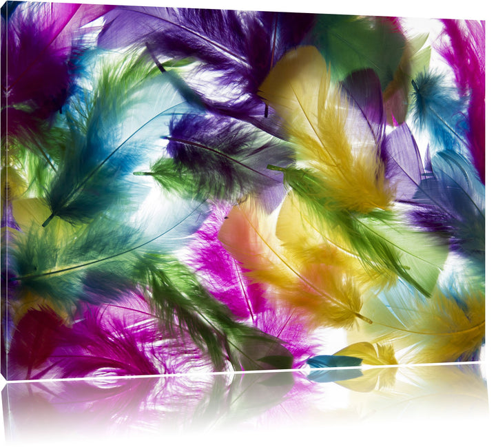 Pixxprint Anordnung von Federn als Leinwandbild/Grösse: 100x70 cm/Wandbild/Kunstdruck/fertig bespann