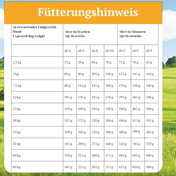 Bellfor Wiesen-Schmaus Junior Kaltgepresst Trockenfutter mit Huhn Getreidefrei für Welpen, Junghunde