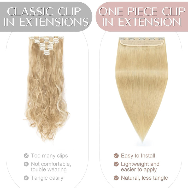 SEGO Haarteil Clip in Extensions Echthaar DICKER Haarverlängerung 1 Tresse 5 Clips Human Hair Glatt